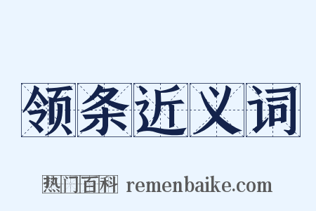 领条近义词是什么意思的图片